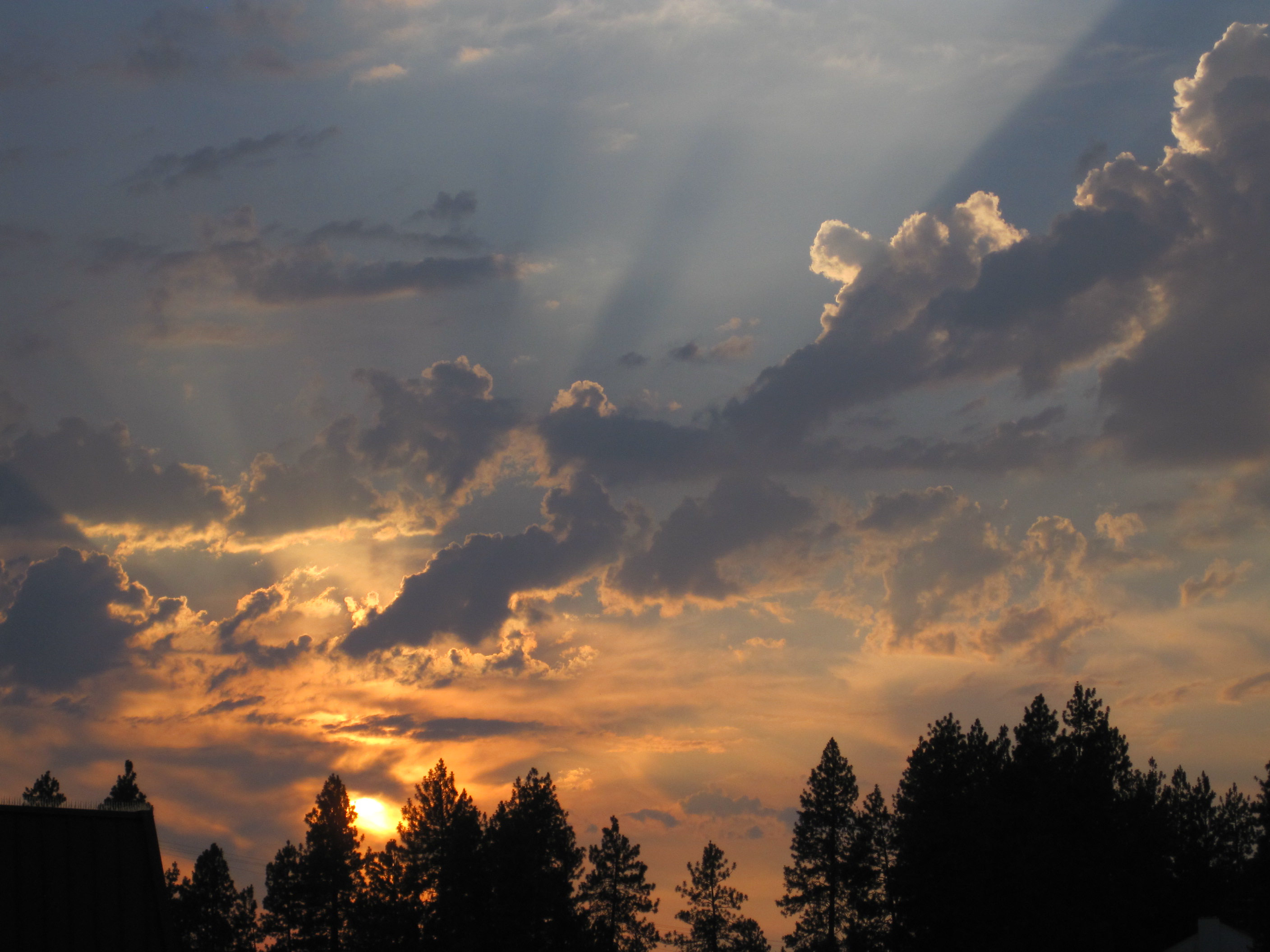 Northwest Sunset