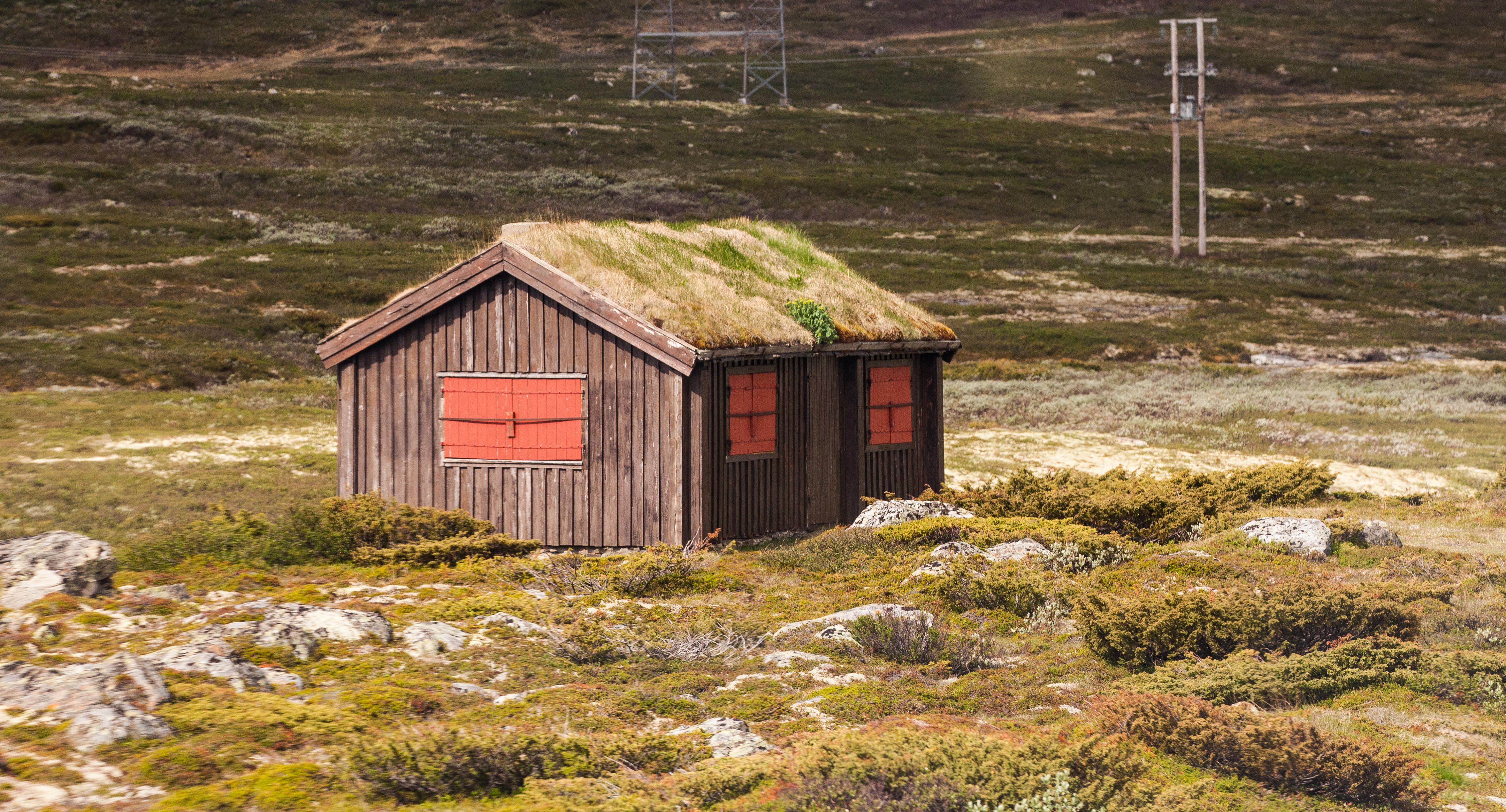 a hut with grass on the roof in Norway, June 2014, picture 9