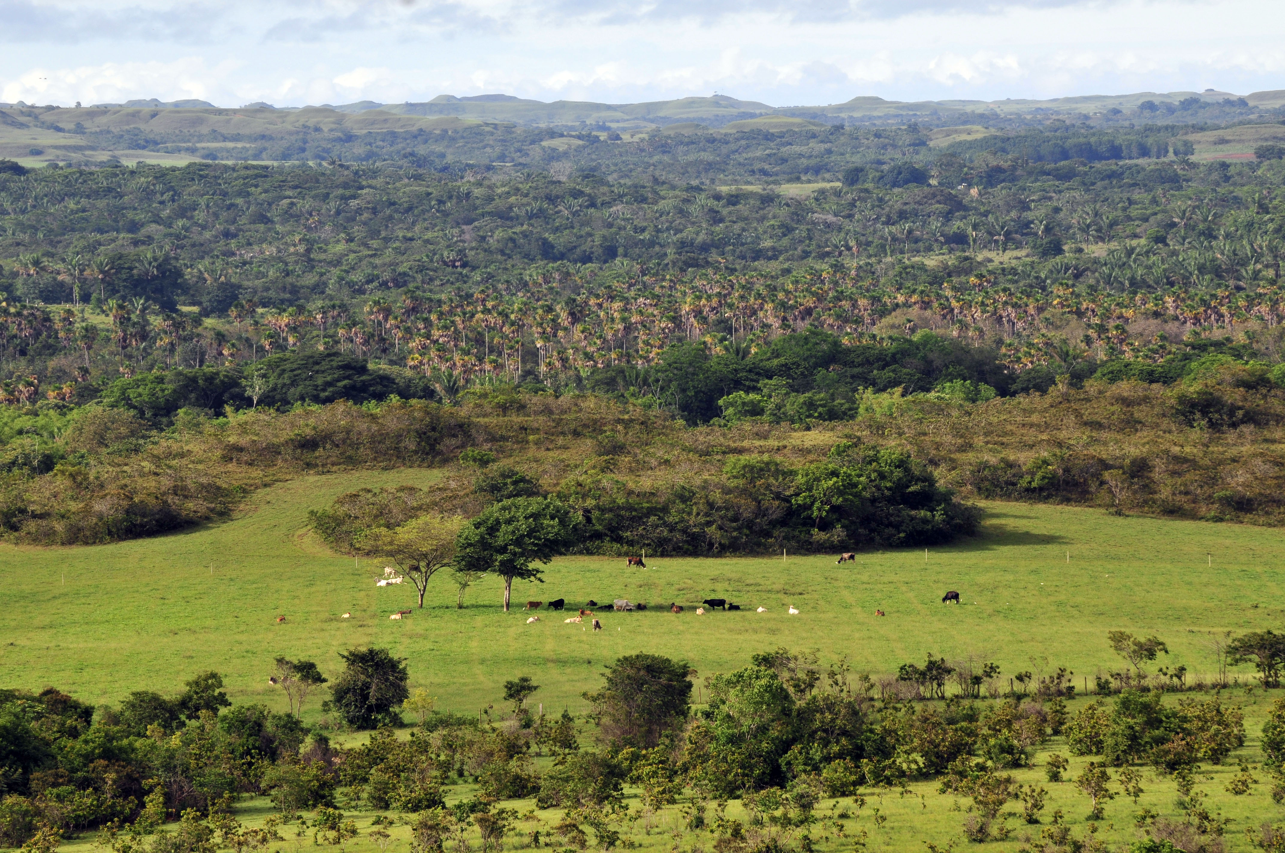 NP Llanos26 lo (5853937820)
