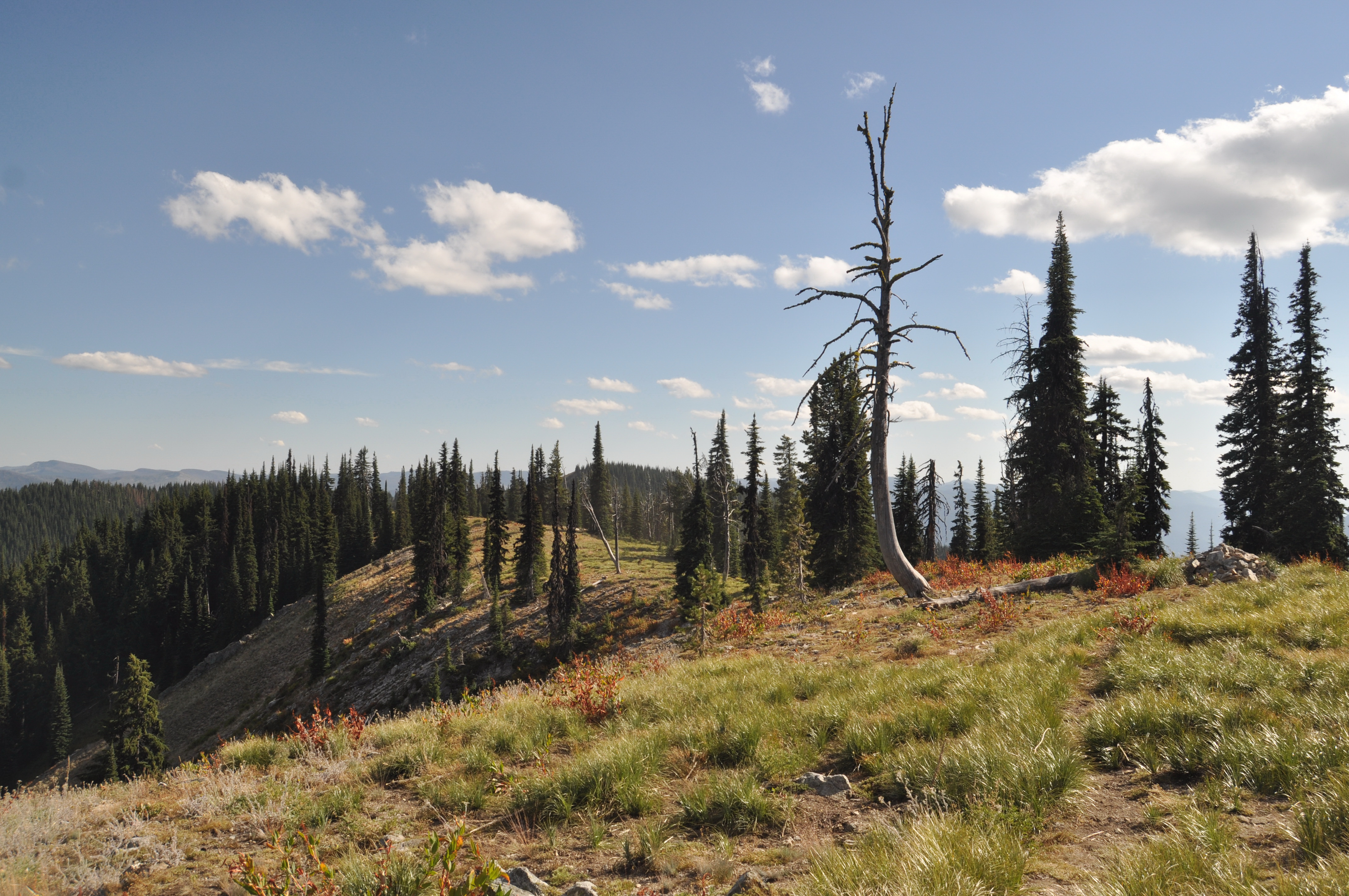 Npnht-indian-post-office-08062015-rogermpeterson-094 (20956232269)