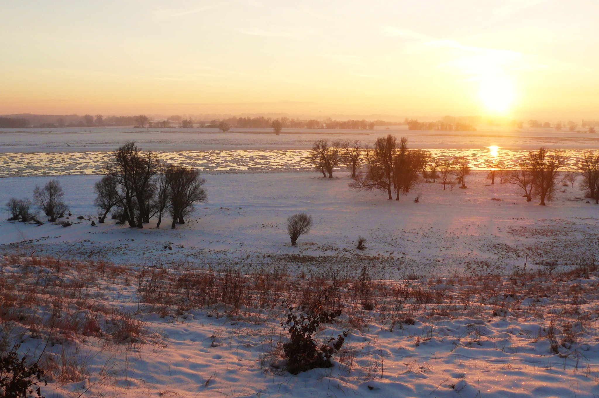 Odra in Gozdowice winter (8)