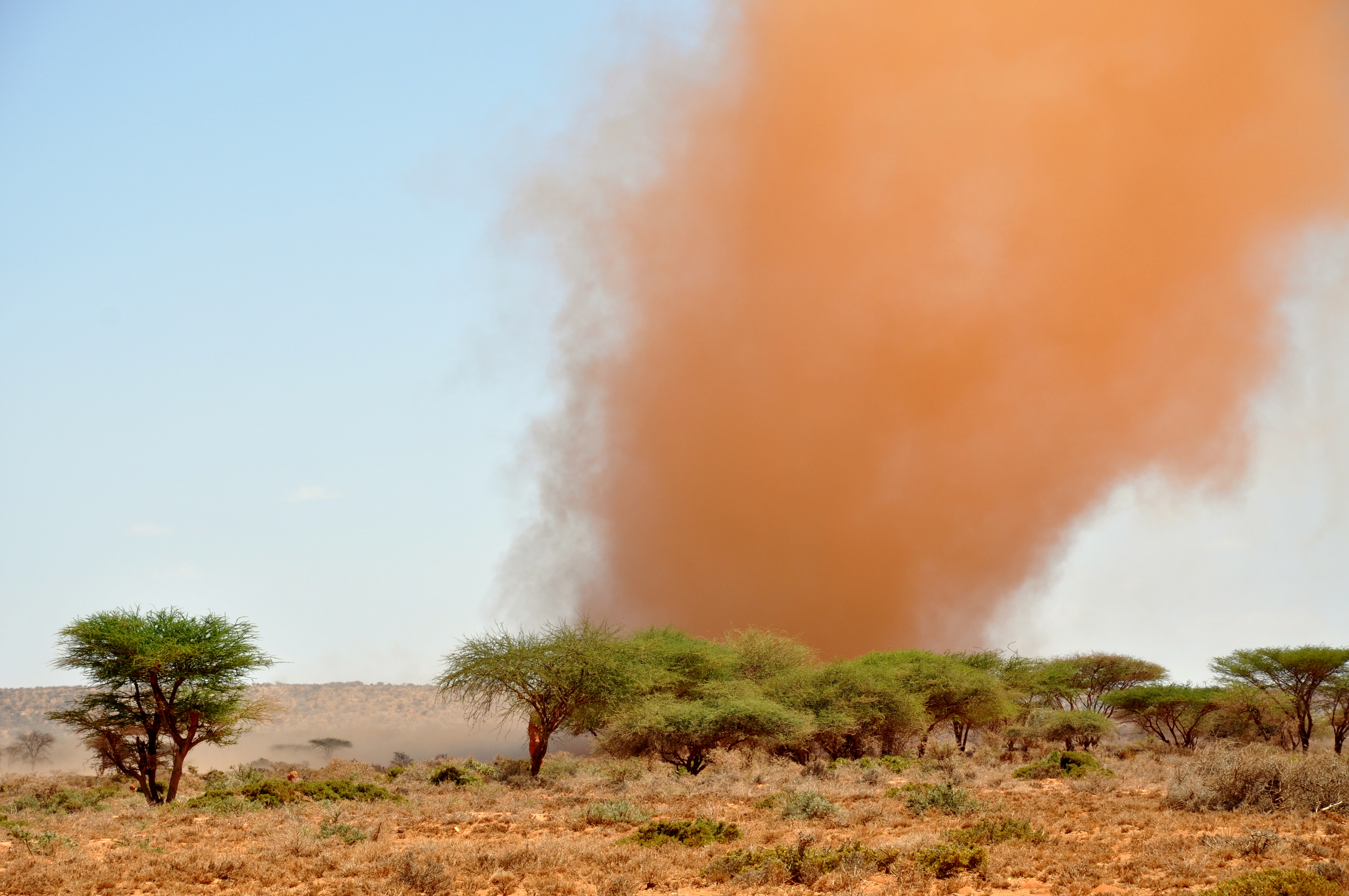 Oxfam East Africa - SomalilandDrought016