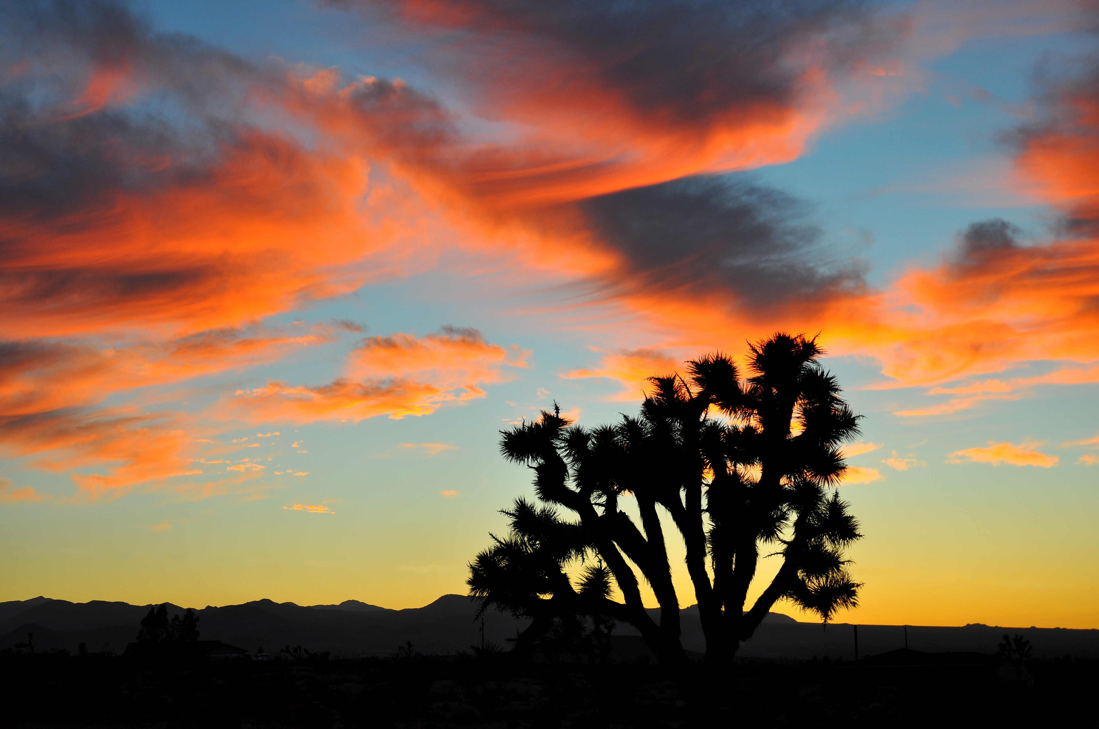 Paintbrush Silhouette