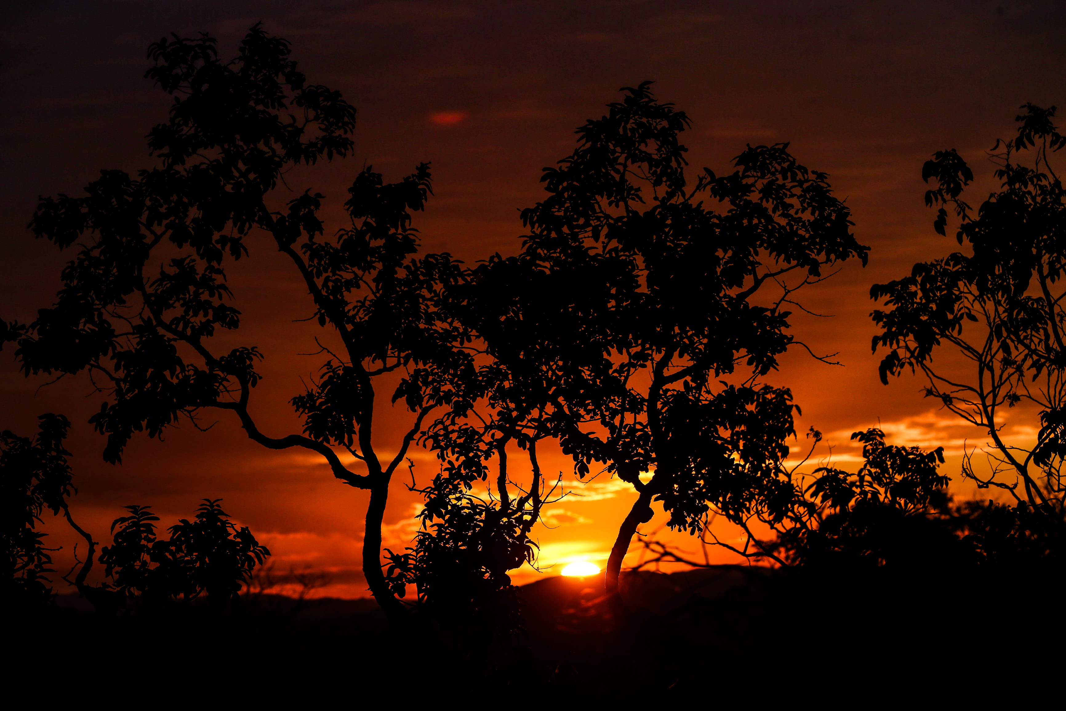 Parque Nacional da Chapada dos Veadeiros (31474874386)