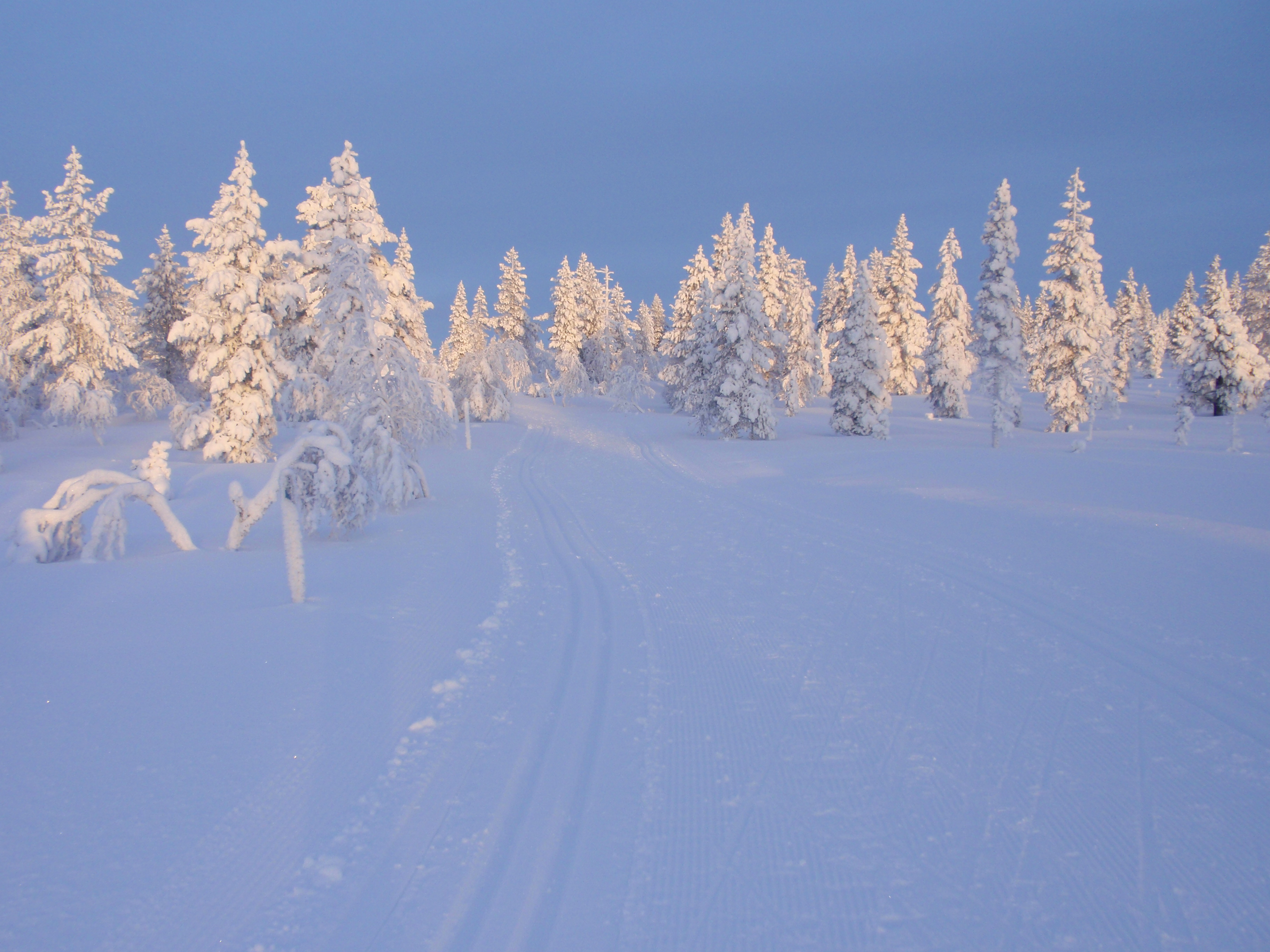 Parque Nacional de Urho Kekkonen
