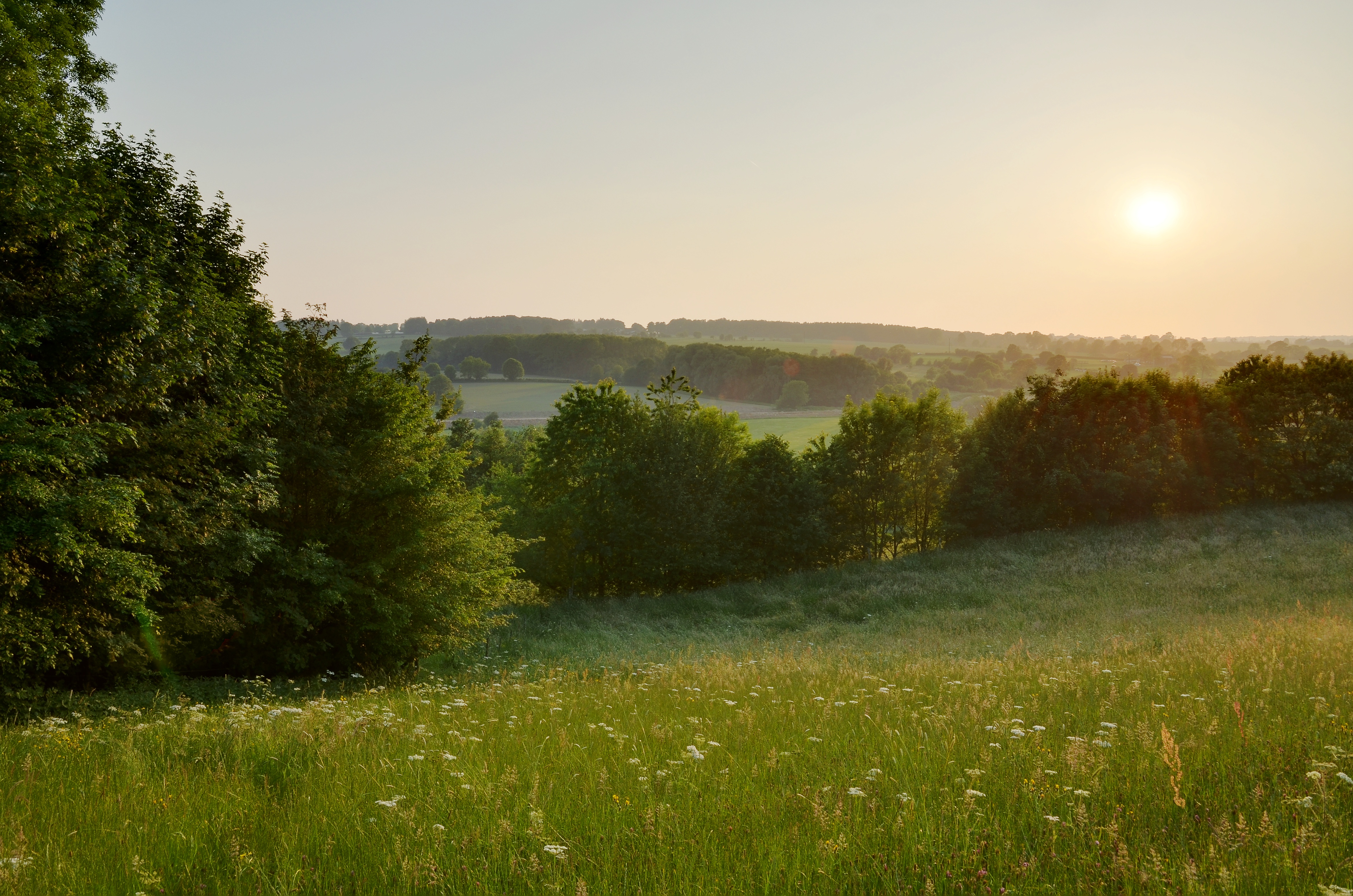 Pays de Herve (Belgium) (5762406305)