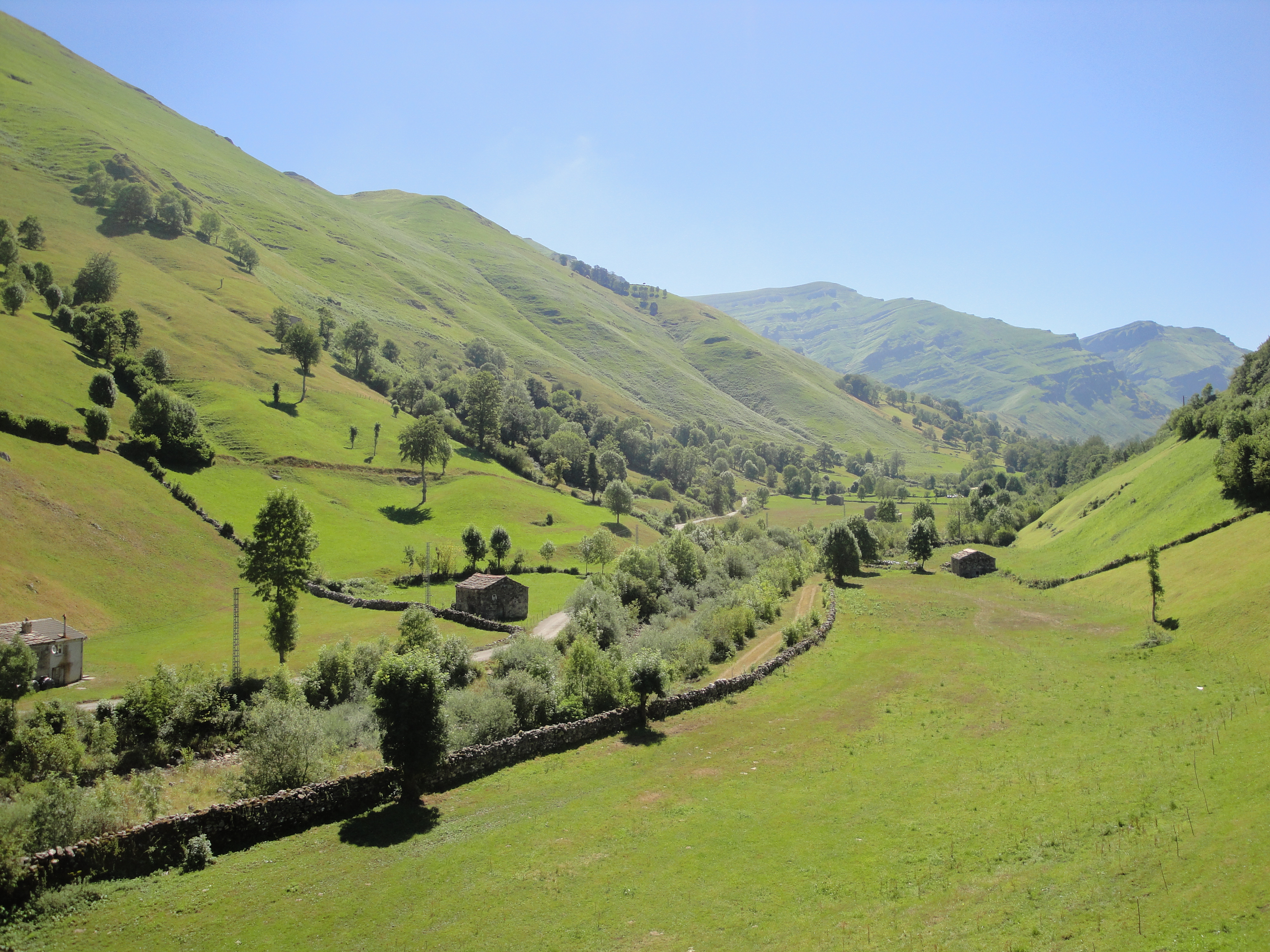 Paysage (11)