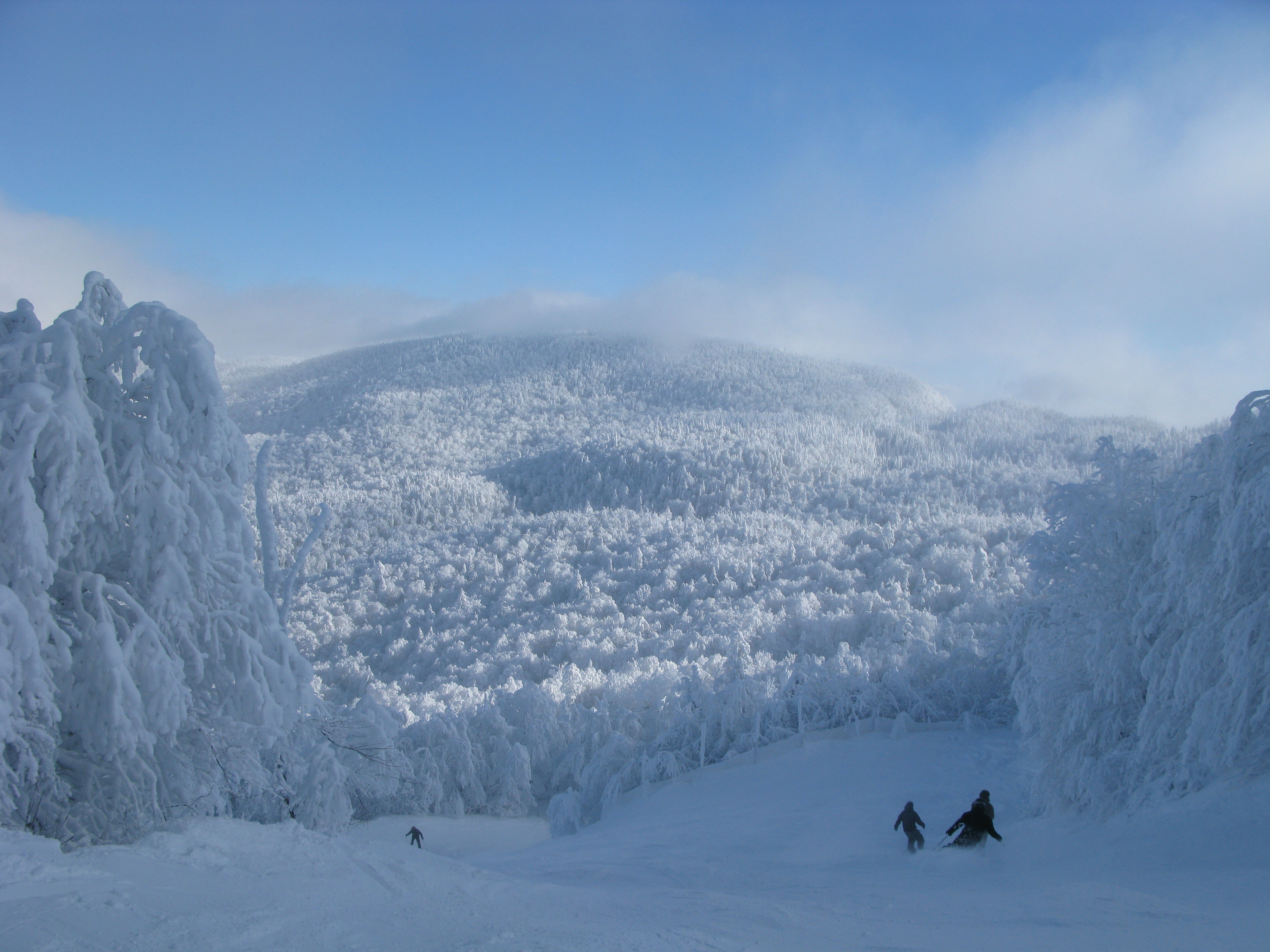 Paysage nature Mont SUTTON