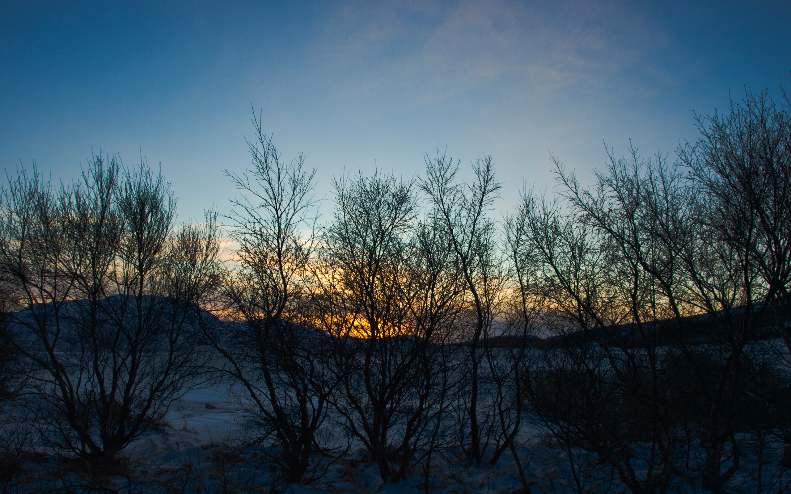 PC192269 (3120305571)