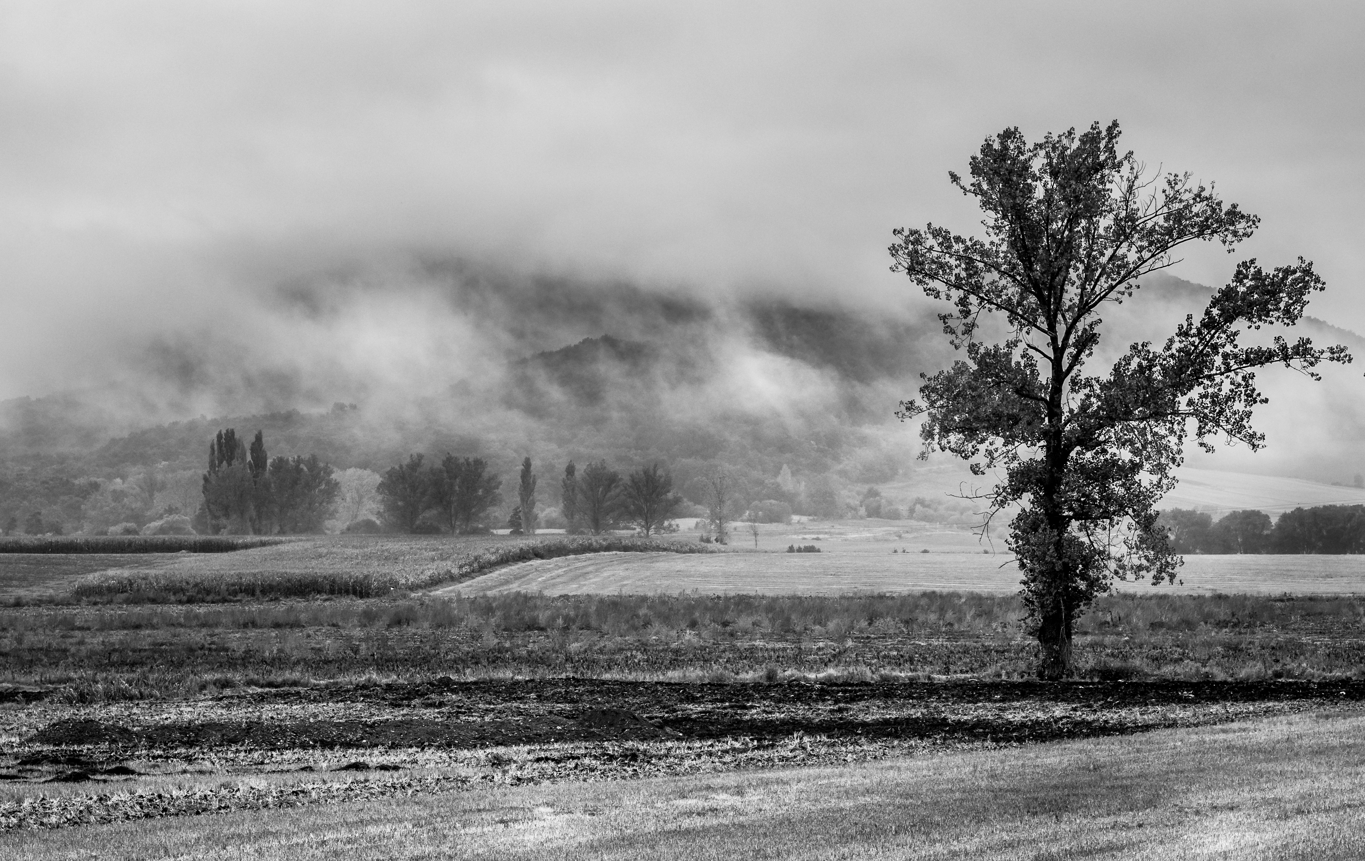 Peñacerrada - Paisaje 02