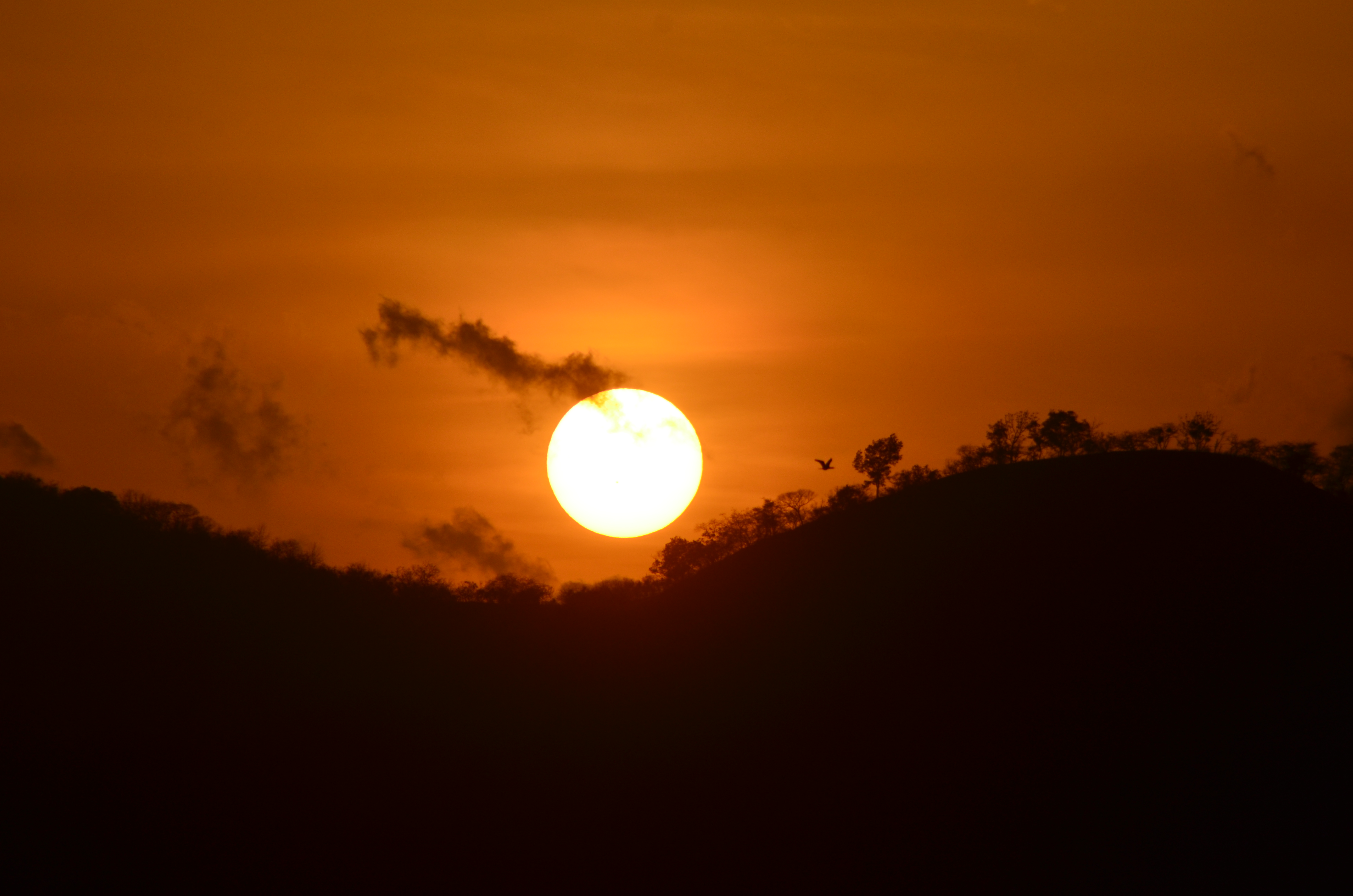 Pleasing Sunset 1