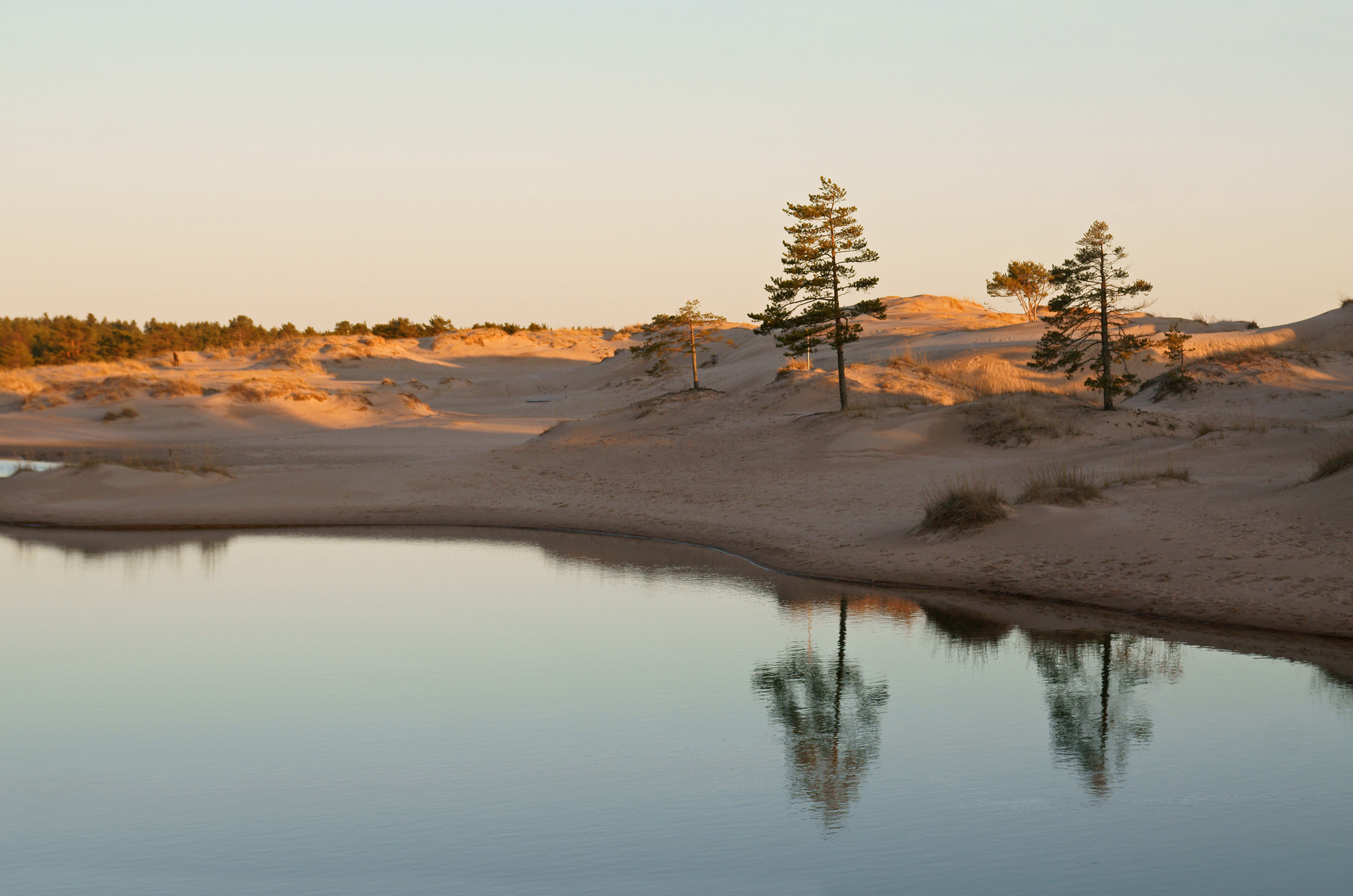 Pond in Yyteri 2