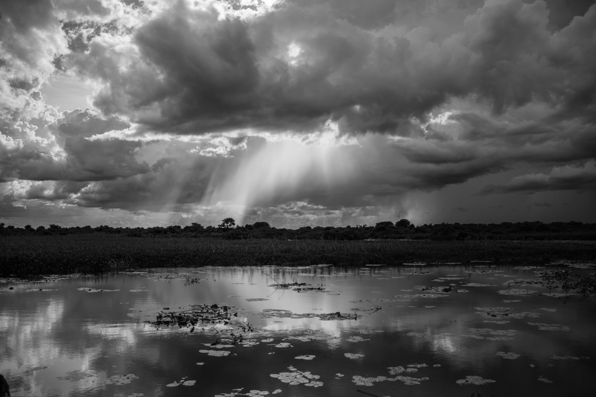 Por do sol no Pantanal
