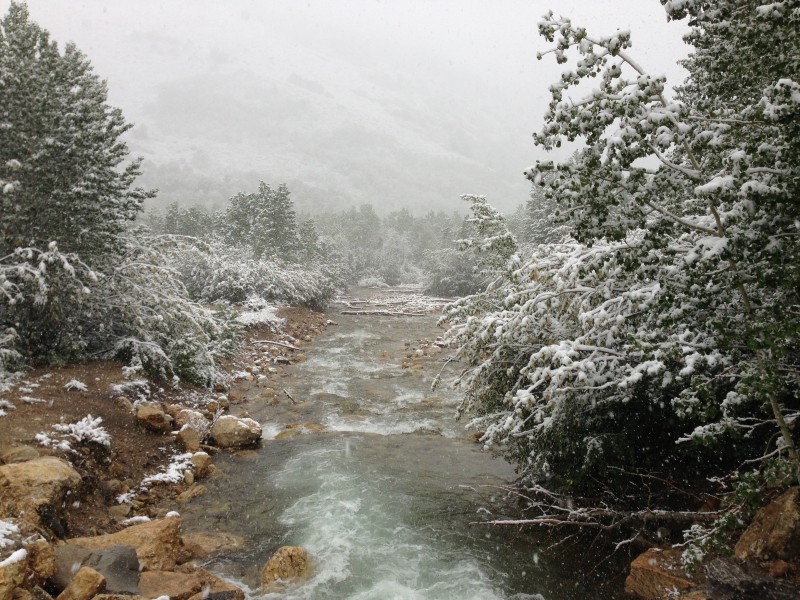 2014-06-17 08 33 22 Snow in June along Lamoille Creek at the Thomas Canyon Campground in Lamoille Canyon, Nevada