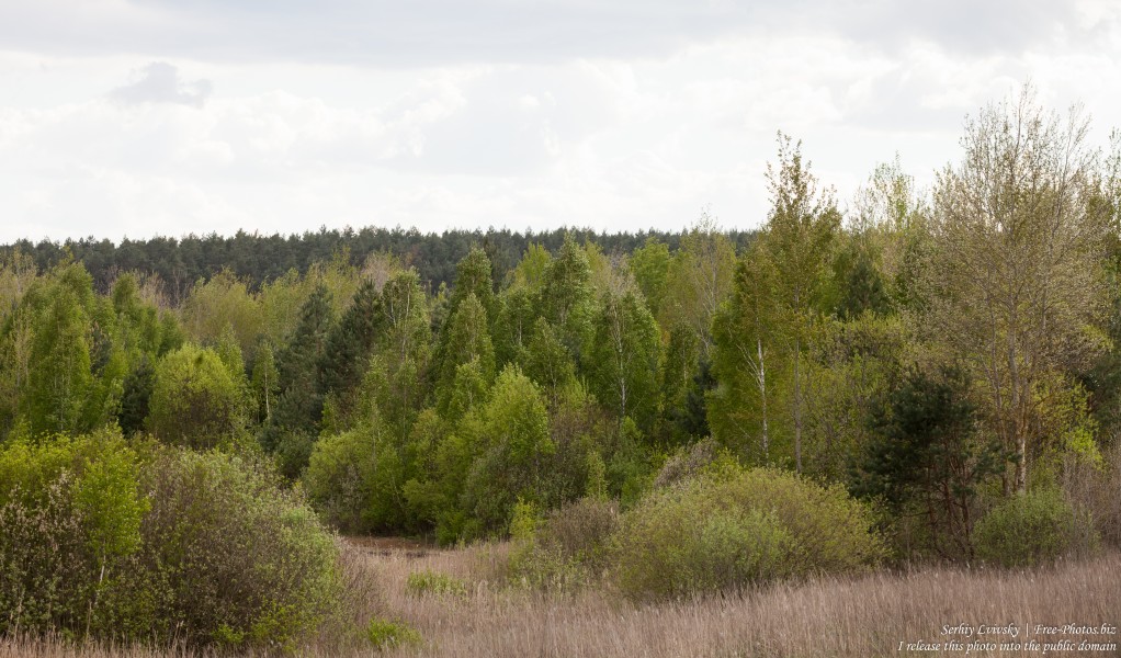 a landscape in the west of Ukraine in May 2016, picture 9