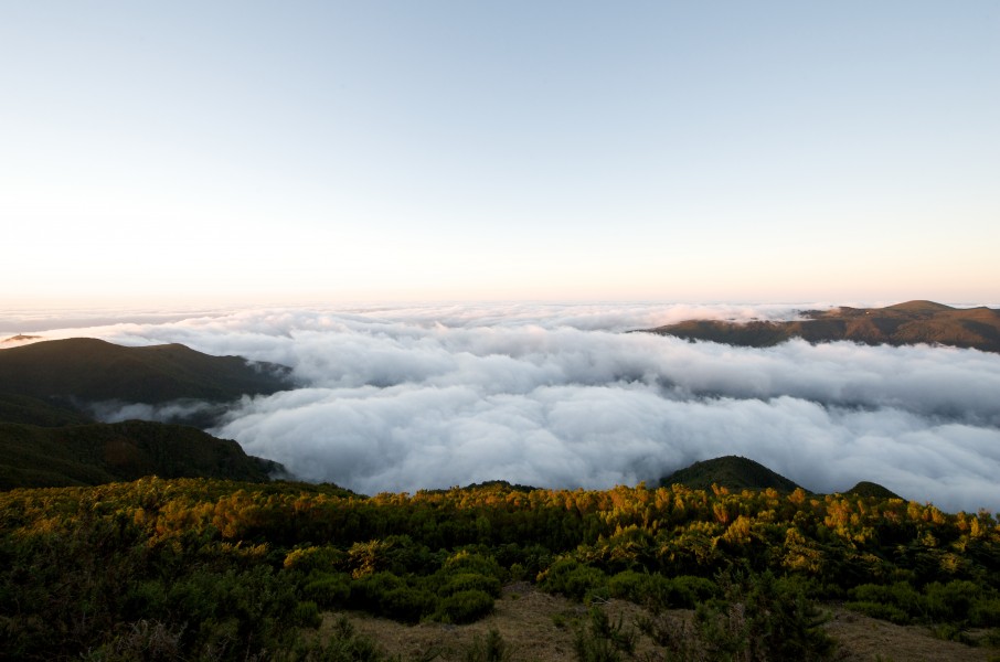 Above the Clouds (2679761575)