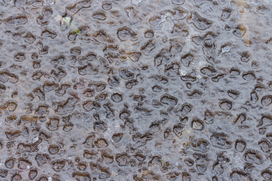 Afdrukken van waterdruppels in ijslaag op Jonkersloot. Locatie, Natuurterrein De Famberhorst 01