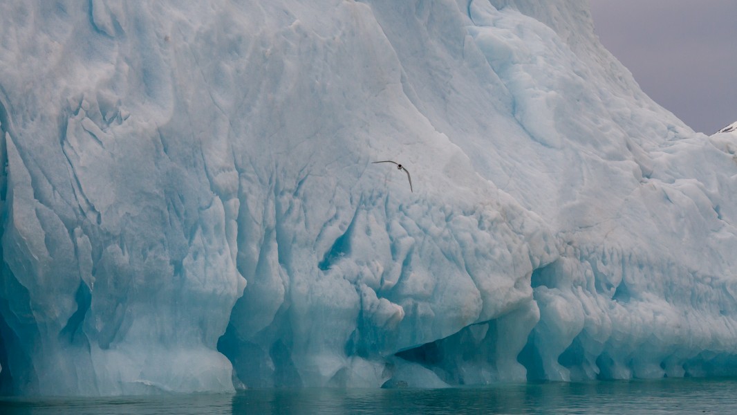 An iceberg slightly tilted, Liefdefjord, Svalbard