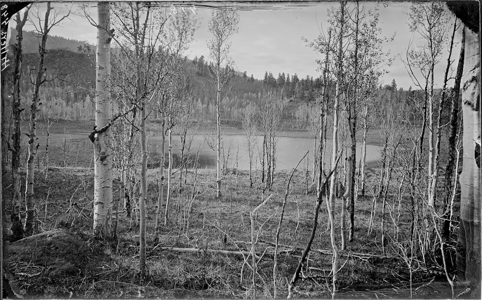 Aquarius Plateau. Bee Lake(^). Old Nos. 390, 324. This is not the same as 57-PS-423, 