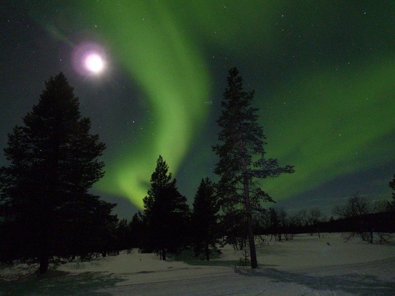 Aurora boreal cerca de Enontekio - panoramio