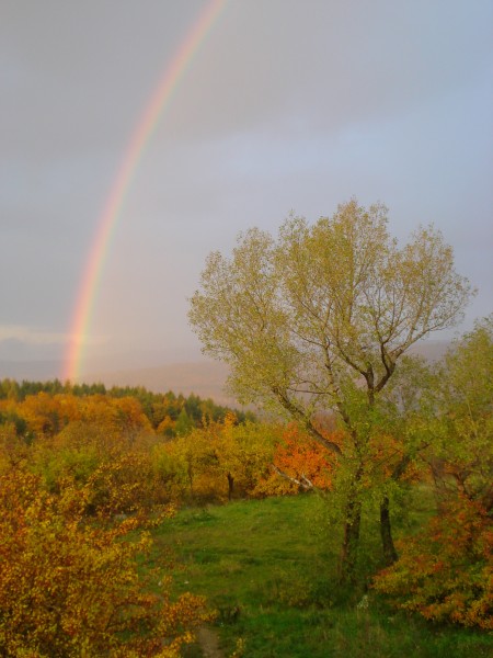 Autumn-slovakia