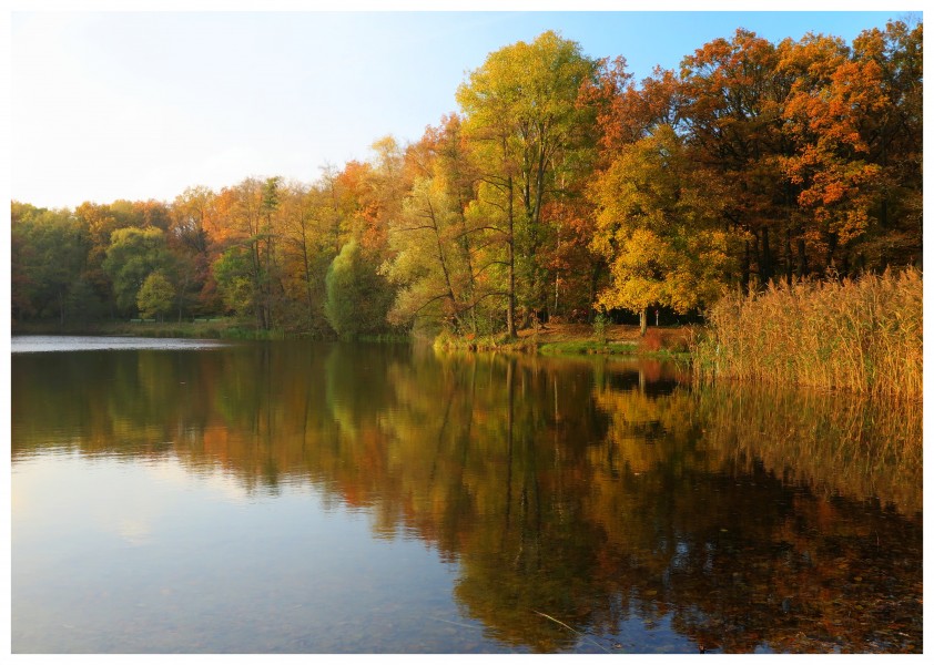 Autumn Lake (15734539595)