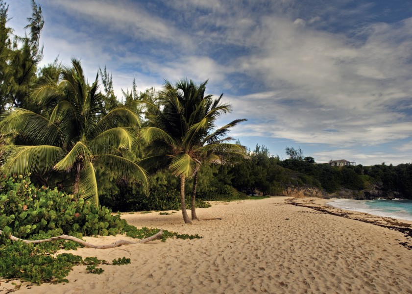 Barbados beach (6800828376)