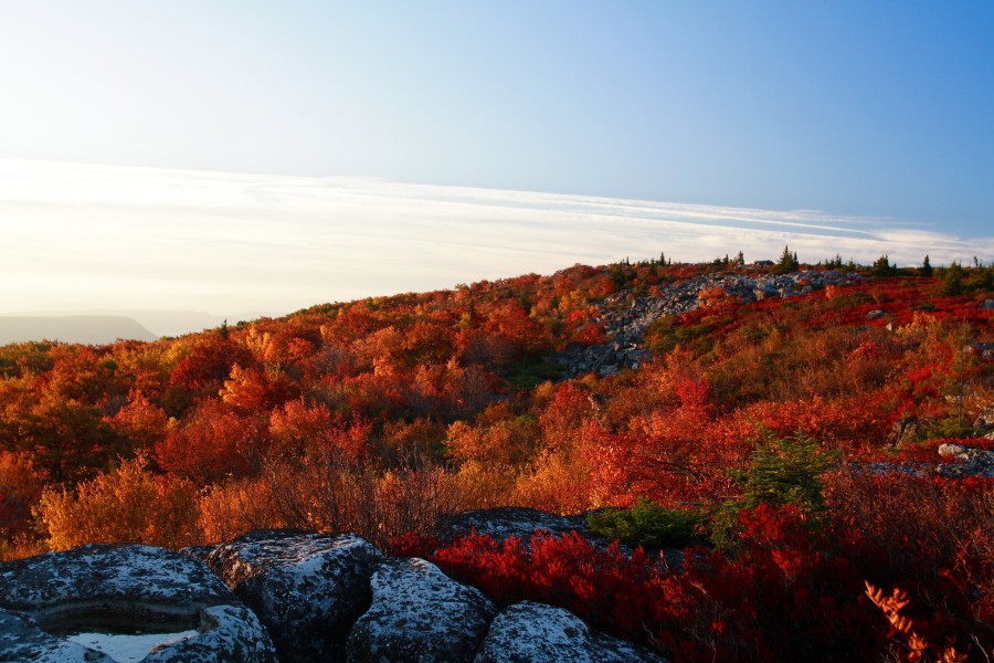 Bear-rock-sunrise-mountain-sky - West Virginia - ForestWander