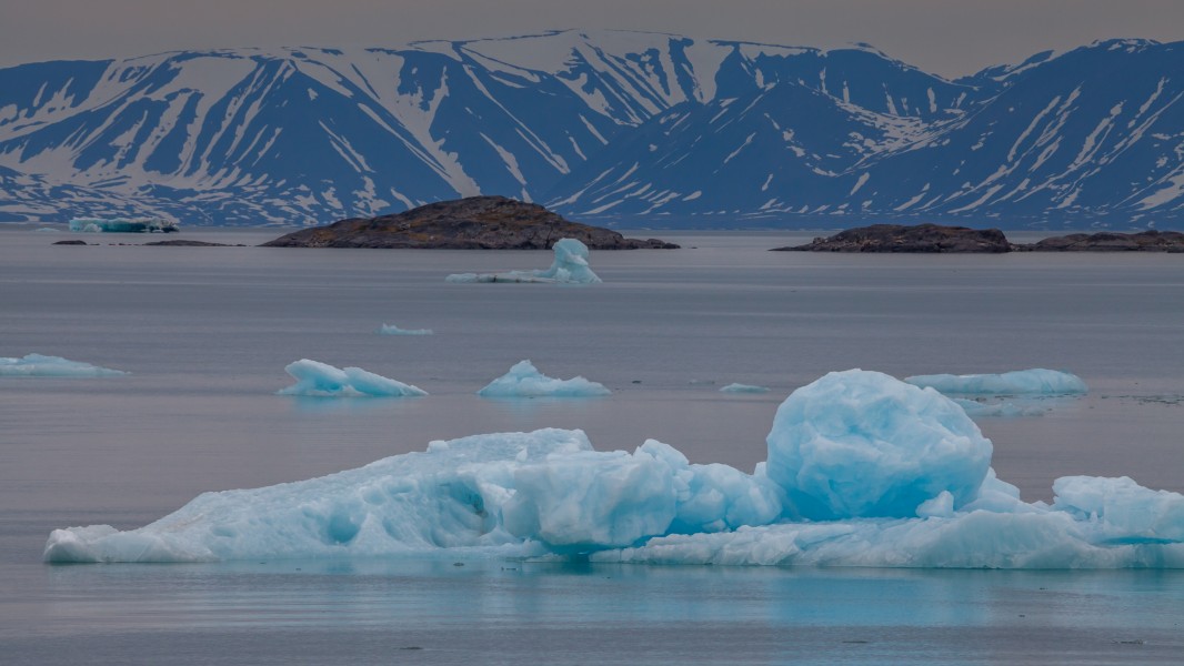 Blue icebergs floating in Liefdefjord, Svalbard