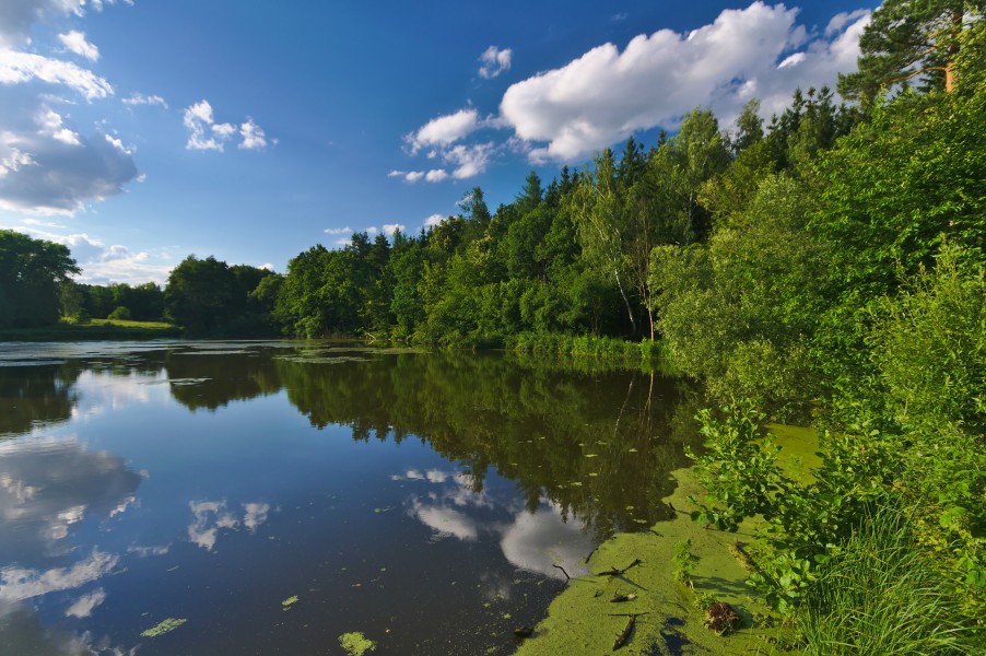 Bohuslavický rybník III, Bohuslavice, okres Prostějov