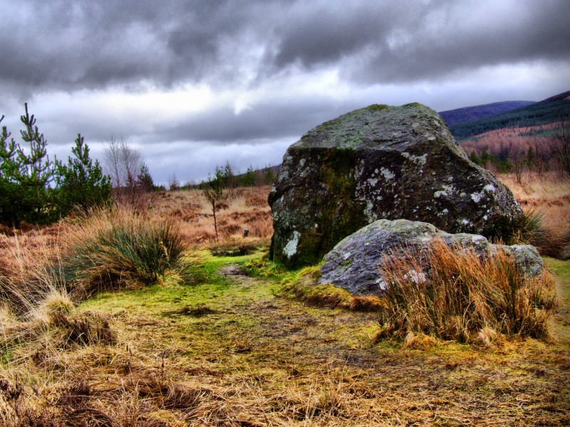 Bruces Stone (3287517859)