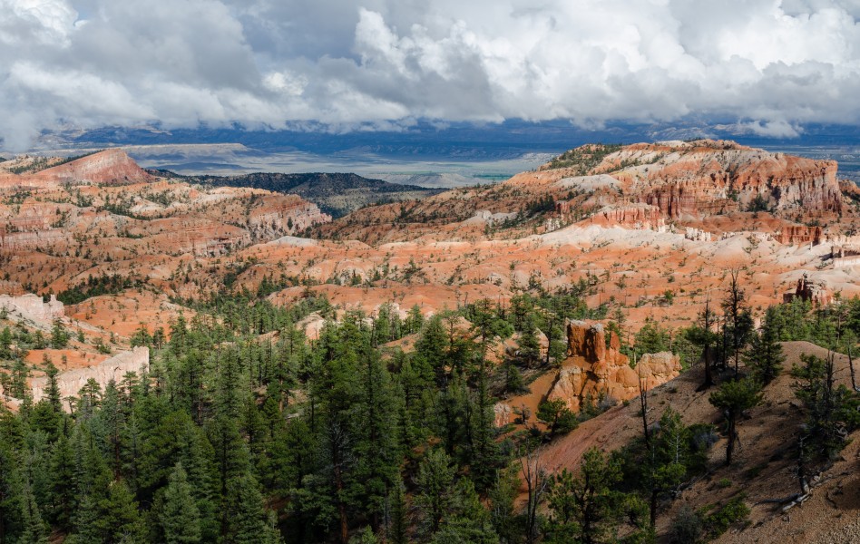 Bryce Canyon from Sunrise Point 2013