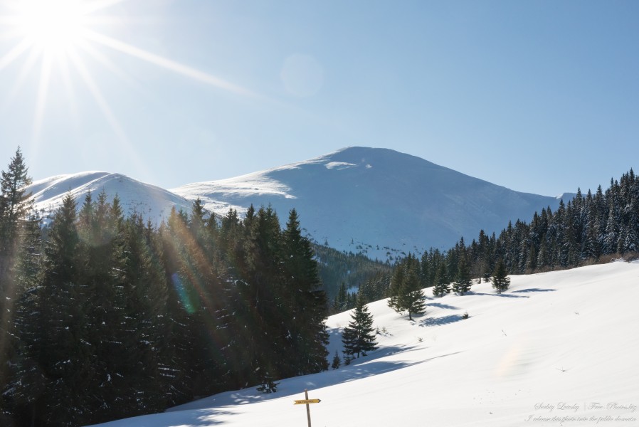 Carpathians photographed by Serhiy Lvivsky in February 2022, picture 5