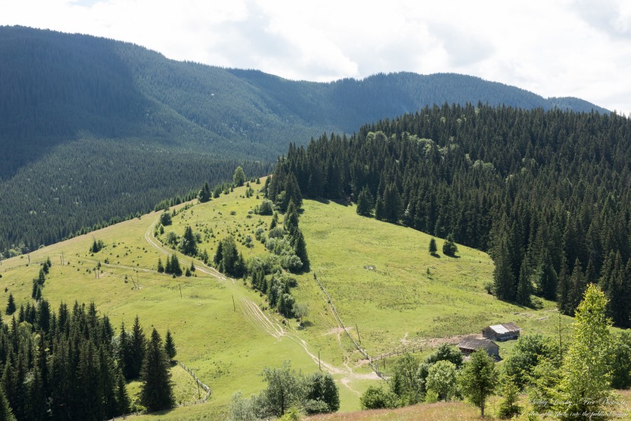 Carpathian mountains in Ukraine photographed in July 2022 by Serhiy Lvivsky, picture 2