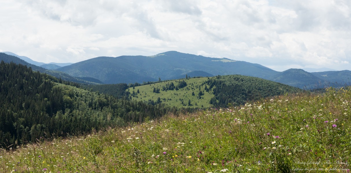 Carpathian mountains in Ukraine photographed in July 2022 by Serhiy Lvivsky, picture 3