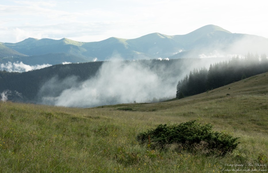 Carpathian mountains in Ukraine photographed in July 2022 by Serhiy Lvivsky, picture 5