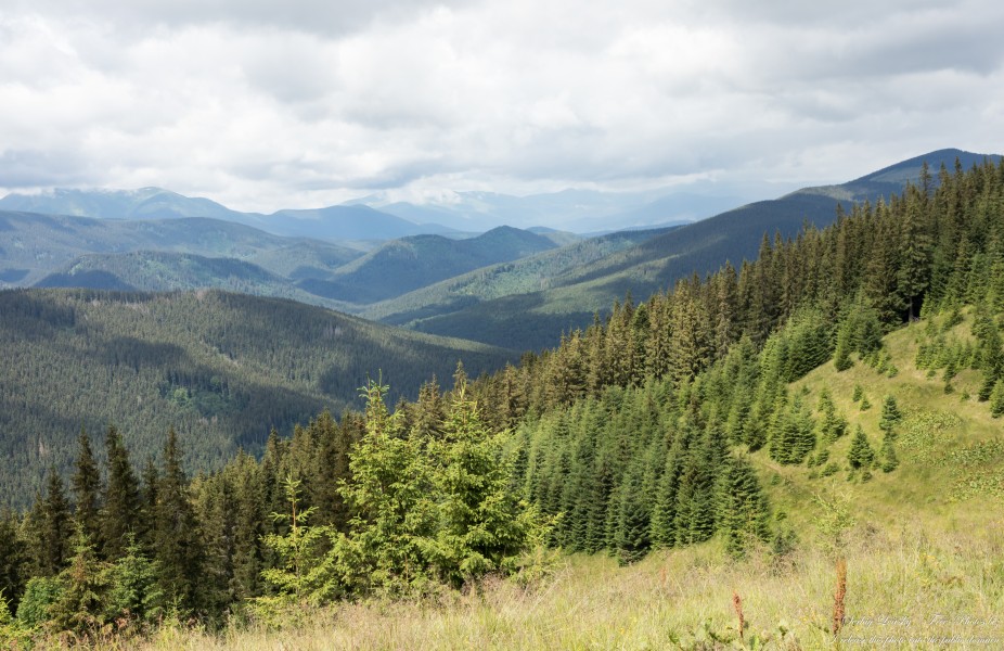 Carpathian mountains in Ukraine photographed in July 2022 by Serhiy Lvivsky, picture 14