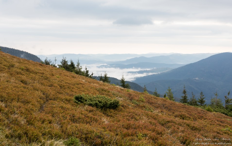 Carpathians in Ukraine in September 2022 photographed by Serhiy Lvivsky, picture 8