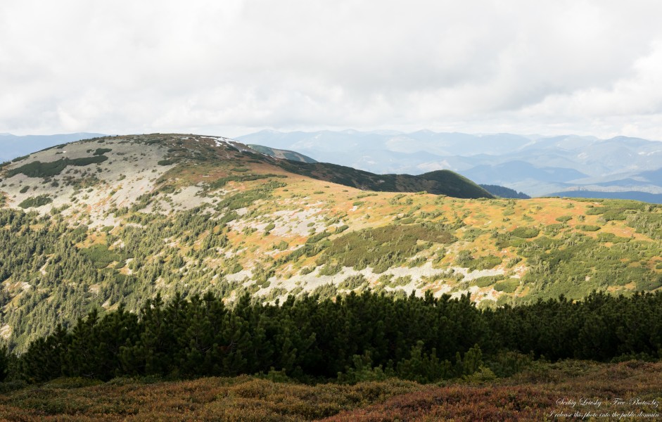 Carpathians in Ukraine in September 2022 photographed by Serhiy Lvivsky, picture 53