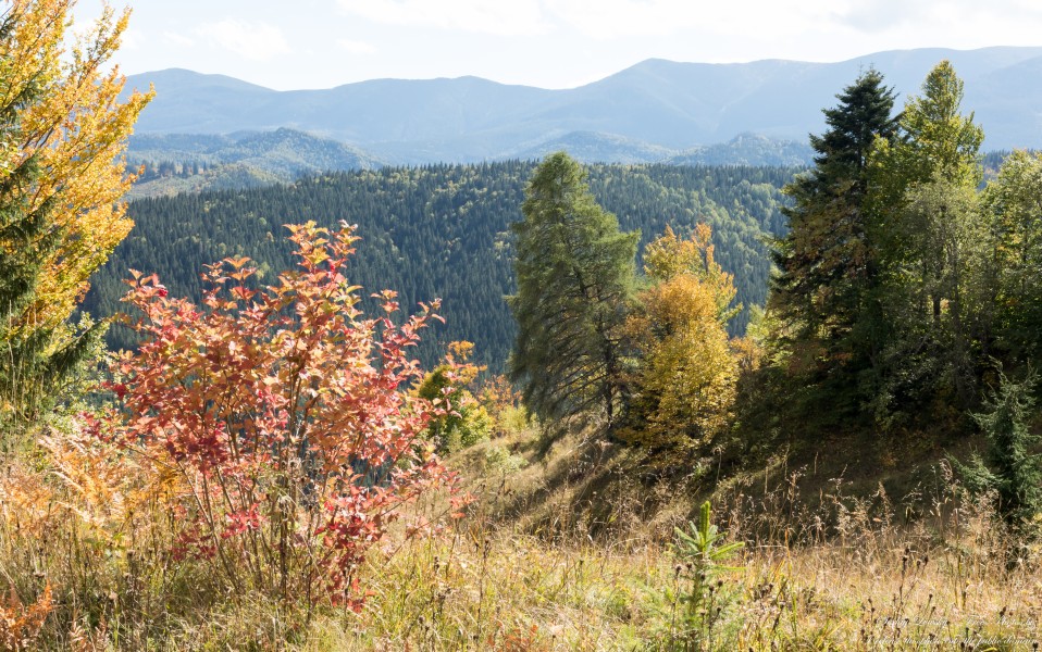 Carpathians in Ukraine in September 2022 photographed by Serhiy Lvivsky, picture 90