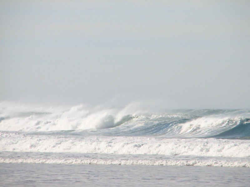 Cordoama waves 08 (3176986678)