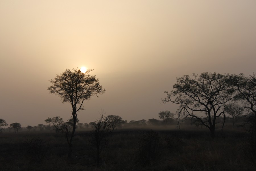 Coucher de soleil Pendjari