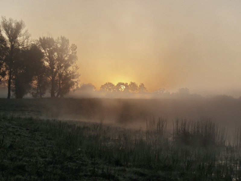 Чарівний ранок в долині Сіверського Дінця