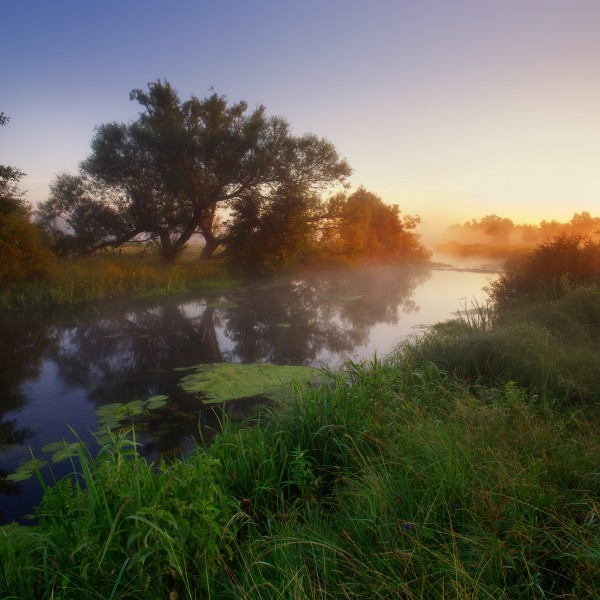 Vovcha river, Ukraine. Morning fog. Річка Вовча. Ранковий туман