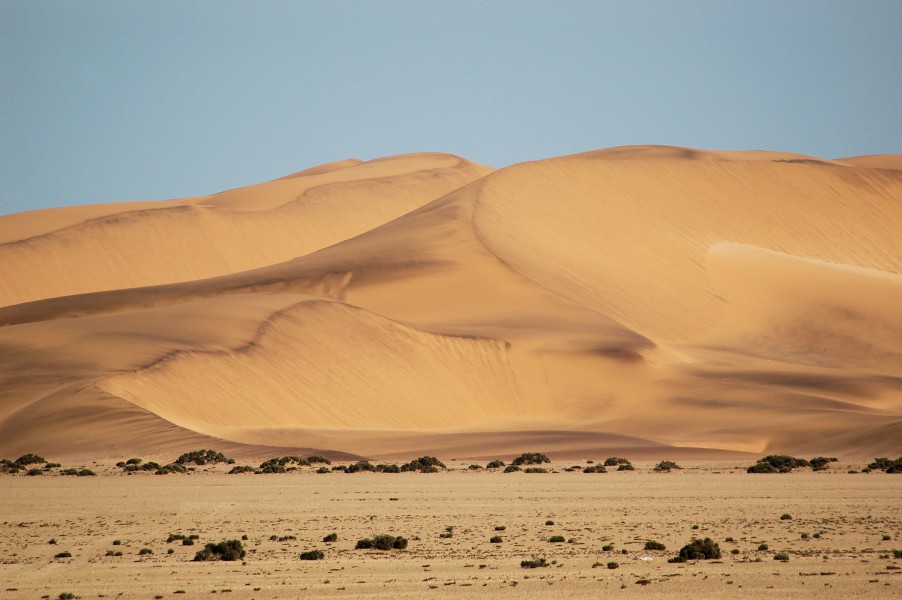 Dunes close to Swakupmund, Namibia (2817853049)