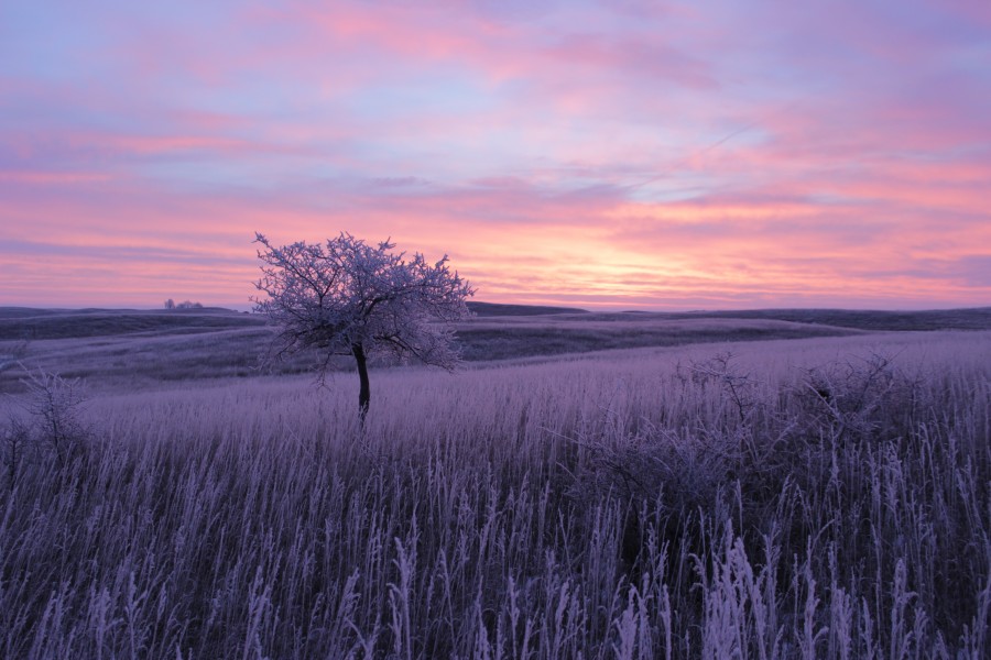 Erlenbusch Sunrise on a Frosty Morning (15798533428)
