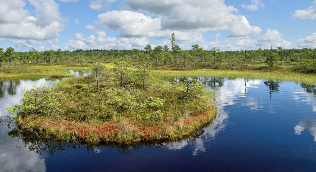 Estonia Endla Nature Reserve 04