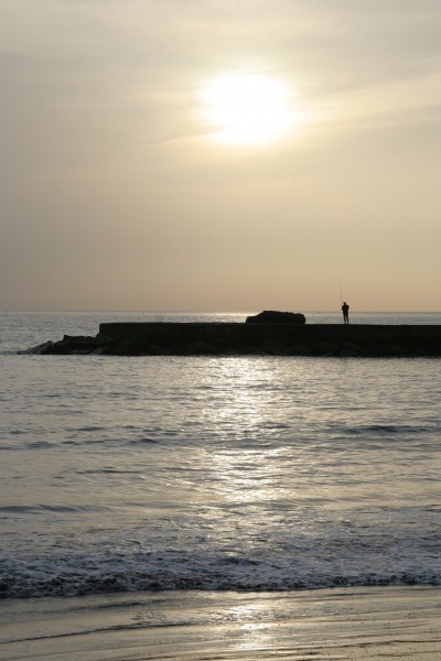 Evening Fisherman (400891565)