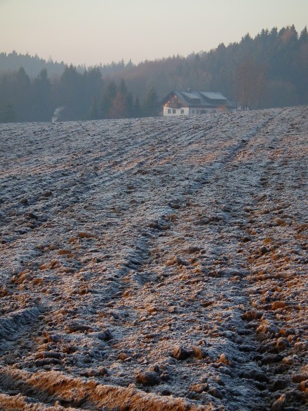 Frostiger Morgen Tromm Hessen 2011