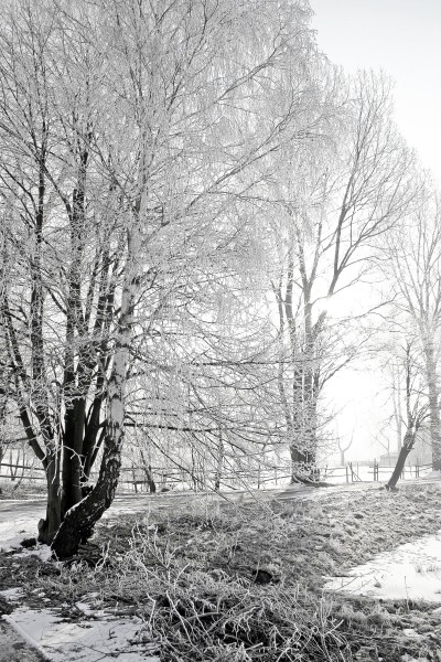 Frosty Winter Morning in Świnoujście, Poland